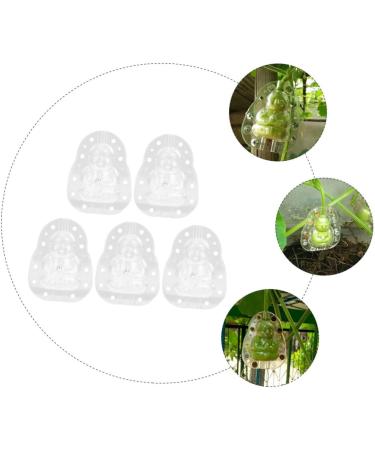 Kisangel 5pcs Vegetable Mold Ginseng Melon Shaping Multi-Function Fruit Mold Gourd Shaper - Buy Online on GoSupps.com