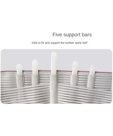 Back Support Back Brace Lumbar Support Lumbar Back Support Breathable Lower Back Brace for Adjustable Waist Decompression Belt Back Support Belt(Pink 4X-Large) 4X-Large Pink - Buy Online on GoSupps.com