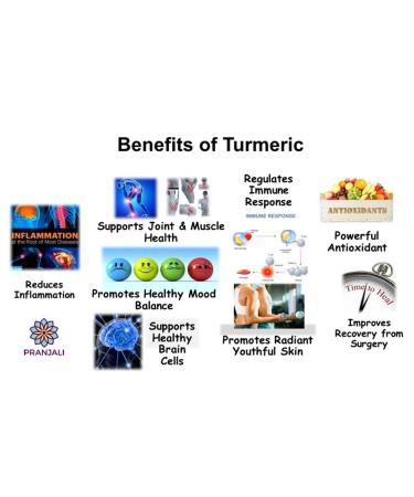 Pranjali Organic Turmeric Paste (Golden Paste) - Non-GMO, Gluten-Free, 6.7 oz - Buy Online on GoSupps.com
