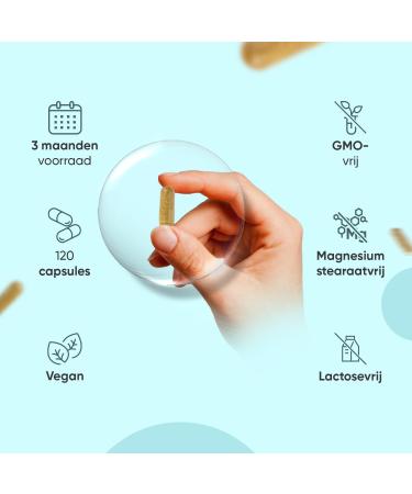 Shilajit Complex 18210 mg With Lions Mane Organic Ashwagandha Turmeric and Black Pepper 120 vegan capsules for a 4month supply Natural ingredients WeightWorld - Buy Online on GoSupps.com