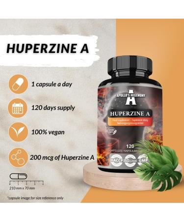 Huperzine A 200 mcg dans chaque g lule - 120 g lules v g taliennes - 4 mois d'approvisionnement pour le soutien cognitif - Huperzia serrata Extract - Diet Supplement by Apollo's Hegemony - Buy Online on GoSupps.com