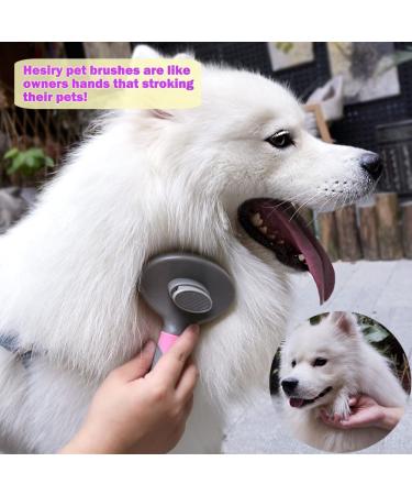 Hesiry Cat Brush - Pet Shedding & Grooming Tool | Removes Loose Undercoat | Slicker Brush for Matted Hair | Self Cleaning Button | Pink - Buy Online on GoSupps.com