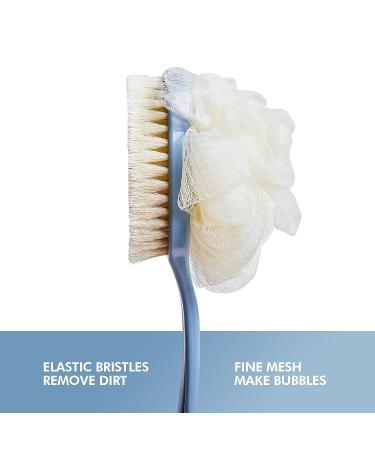 Shower Brush & Shampoo Brush with Long Handle - Body Brush with Bristles and Loofah Back Scrubber for Wet/Dry Bath - Buy Online on GoSupps.com