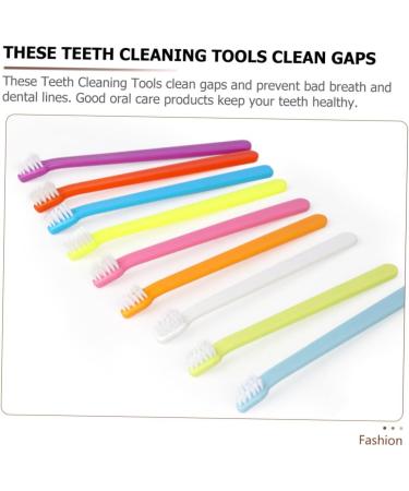 DOITOOL 6pcs Tooth Es Small Oral Plastic for Head Cleaning Supply Dog Durable Long The - Buy Online on GoSupps.com