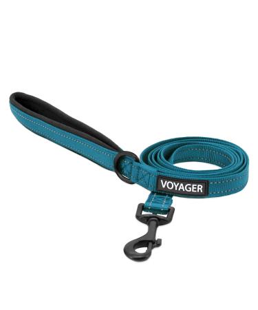 Reflective Dog Leash with Neoprene Handle 1" x 5ft Turquoise