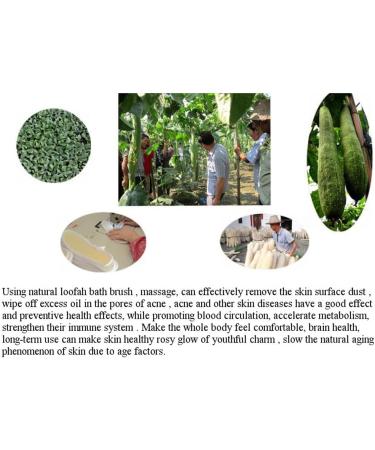 YingRen Natural Loofah Exfoliating Back Strap Scrubber Massager + Exfoliating Brush - Spa Bath Massage Set - Buy Online on GoSupps.com