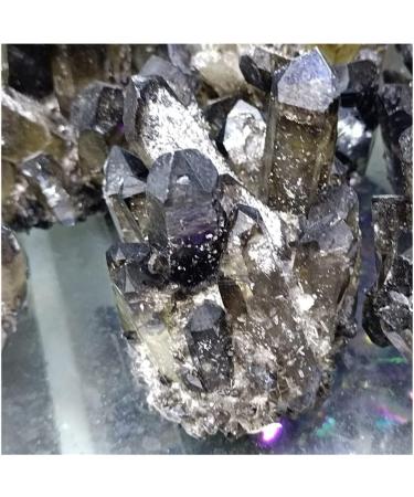 Natural Crystal 1pc Natural Smoky Quartz Cluster Decoration Black Crystal Cluster Reiki Cluster Resistant Decoration Crafts Power Stone Crystal Crystal Cluster (Size : 450-500g) - Buy Online on GoSupps.com