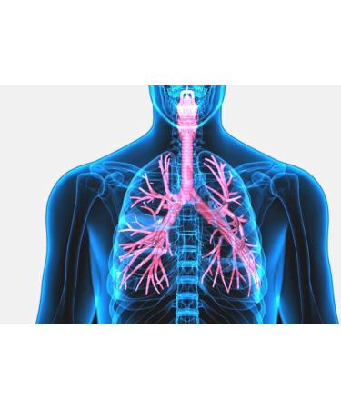 XL-3 Xtra Cold & Cough 2-Pack: Relieve Cough and Cold Symptoms - Buy Online on GoSupps.com
