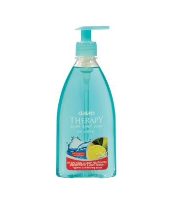 Dalan Therapy Antibacterial and Odour Neutralizer Liquid Soap 0.42 kg