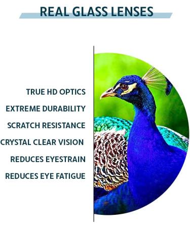 Clear Glass Reading Glasses with Real Glass Lenses | Stylish Acetate Frames | Magnification +0.25 to +3.00 - Buy Online on GoSupps.com