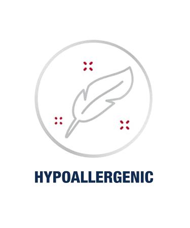 Aquaphor Repairing Foot Masks: Moisturizing Socks for Dry Feet with Avocado Oil and Shea Butter - Pack of 6 - Buy Online on GoSupps.com