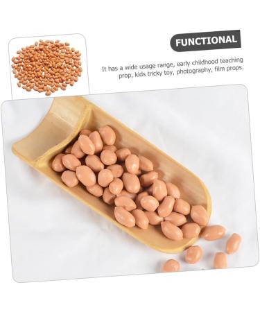 ABOOFAN 2pcs 1 Simulation Peanut Simulated Nut Artificial Groundnut Kernels Fake Dried Fruits Imitation Peanut Adornment Scene Adornment Simulation Fake Fruit Fake Nut Model Corn Pvc - Buy Online on GoSupps.com