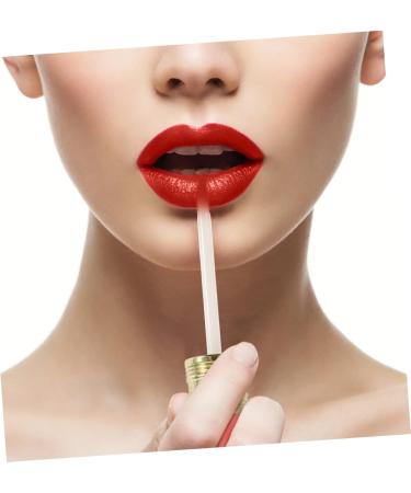 Healvian Lot de 12 Tubes de Gloss L vres Vides de Crayon Transparents Rechargeables Format Mini pour Maquillage L vres Usage Cosm tique Pinceau Int gr pour DIY et Voyage 1 unit (Lot de 1) comme montr  - Buy Online on GoSupps.com