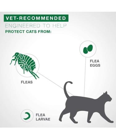 Advantage II Flea Prevention for Large Cats - 6 Doses, 6 Months Supply - 2 Pack Bundle - Buy Online on GoSupps.com