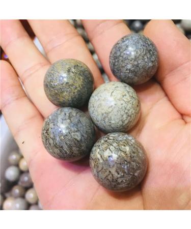 Natural Crystal Rough Gemstones for Decoration 5pc Natural Crystal Dinosaur Stone Crystal Decorated Ball Aura Crystal - Buy Online on GoSupps.com
