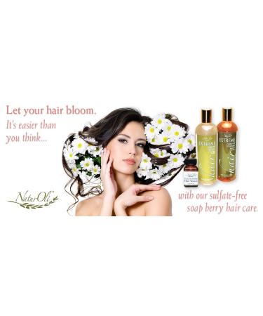 Extreme Hair Moisturizing Conditioner with Organic Soap Berry Powder | Gluten Free - Shop Internationally - Buy Online on GoSupps.com