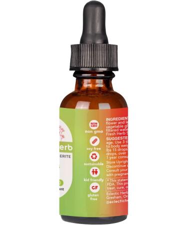 Eclectic Institute Kids St. John's Wort - Black Cherry Flavor 1 fl oz | Herbal Supplement for Children - Buy Online on GoSupps.com
