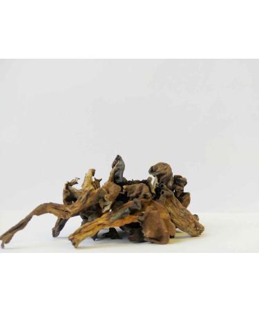 Sabarot - Dried trumpets of death 250g - Buy Online on GoSupps.com