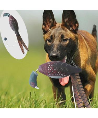 Ailan Gundog Training Dummies Realistic Durable And Sturdy Training Hound Size PU Gundog Dummy Dog Training Toy Dog Turkey Toy - Buy Online on GoSupps.com