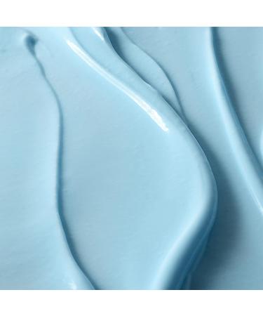 HERBIVORE Botanicals Aquarius Pore Purifying Clarity Cream - Daily Moisturizer with BHA (1.7 oz) - Buy Online on GoSupps.com