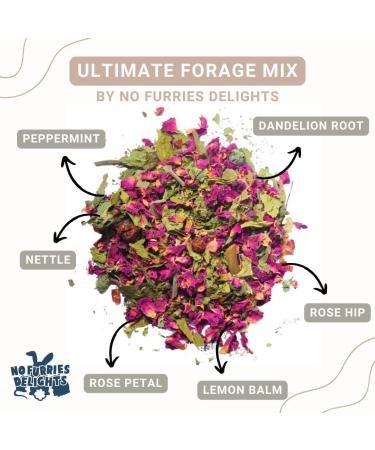 No Furries Delights Forage Mix 100% All Natural Botanical Herbs for Rabbit Hamster Guinea Pig Chinchilla Chicken Hermit Crab (Ultimate Forage Mix 30g) Ultimate Forage Mix 30 g (Pack of 1) - Buy Online on GoSupps.com