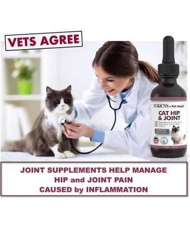 Nodens Cat Hip and Joint Glucosamine with Chondroitin, Opti-MSM, Hyaluronic Acid - 2 fl oz for Joint Flexibility & Pain Relief - Buy Online on GoSupps.com