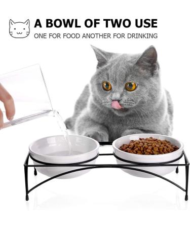 Y YHY Raised Cat Bowls 12oz Elevated Cat Food and Water Bowls with Stand Raised Pet Feeder Elevated Food Feeding Dishes for Cats or Dogs Dishwasher Safe Gift for Cats Dia 4.8in/White 12oz | 354ml White - Buy Online on GoSupps.com