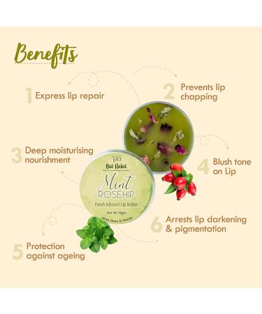 Mint Rosehip Lip Balm - Fresh Infused Lip Butter with Desi Ghee & Raw Honey for Lip Pigmentation Repair & Dark Chapped Lips - 10g | Buy Online - Buy Online on GoSupps.com