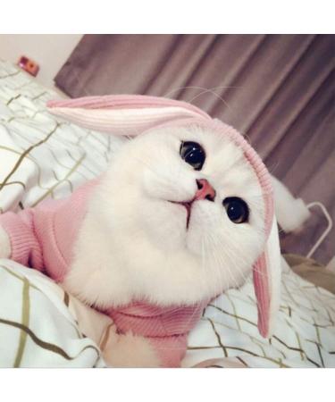 ANIAC Pet Hoodie with Bunny Ears | X-Small Pink Cat Rabbit Outfit | Cute Sweatshirt for Spring/Autumn | Knitted Sweater for Puppy/Kitty - Buy Online on GoSupps.com