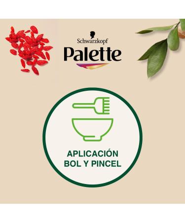 PALETTE NATURAL tinte 6.88-rojo intenso - Buy Online on GoSupps.com