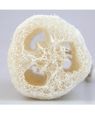Premium Natural Loofah Sponge Set - Exfoliating Spa Shower & Bath Sponges for Luxury Home Care - Buy Online on GoSupps.com