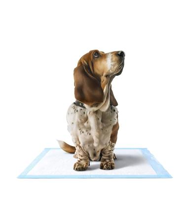 Medline Quilted Disposable Blue Underpad 23 x 36 - 50 Count | Incontinence & Furniture Protection - Buy Online on GoSupps.com