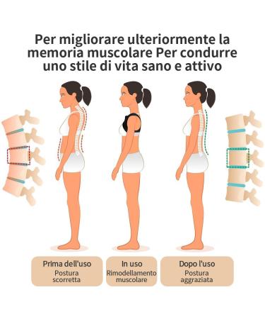Posture Corrector | Fully Adjustable Back Brace - Comfortable & Breathable Support for Spine | Men & Women - Buy Online on GoSupps.com