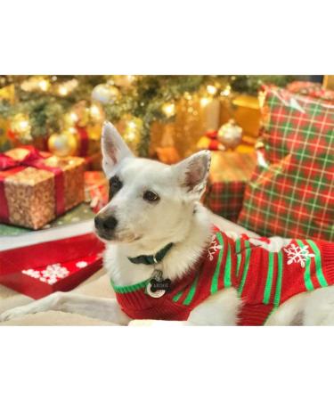 NACOCO Snowman Holiday Sweater for Small Dogs & Cats - Christmas & New Year Pet Clothes - Buy Online on GoSupps.com