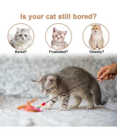 7 Interactive Cat Toys Springs Set | Suction Cup Fishing Toys with Bells & Feathers - Buy Online on GoSupps.com