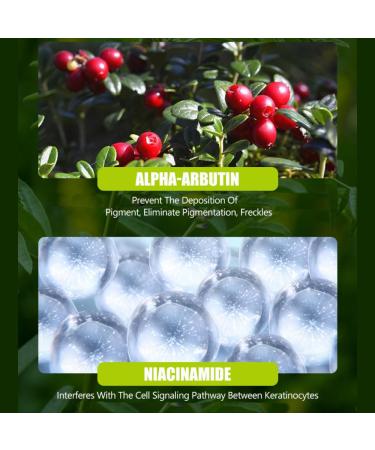 DISAAR Beauty Licorice Root Anti-Wrinkle Face Cream Hydrating Facial Skin Anti-Aging Moisturizer for Dark Spots & Fine Lines Evening 50g / 1.69fl.oz - Buy Online on GoSupps.com