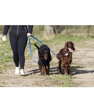 Police style dog training lead 6ft Multiple colours (Blue) - Buy Online on GoSupps.com