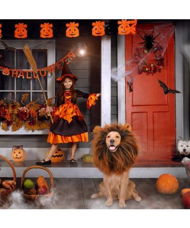 Adjustable Lion Mane Costume for Dogs with Ears - Dark Brown - Buy Online on GoSupps.com