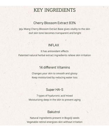 Buy THE PLANT BASE Time Stop Vitamin Ampoule | Prunus Yedoensis 83% | 14 Vitamins & Bakuchiol | Premium K-Beauty for Youthful Skin - International Shipping Available - Buy Online on GoSupps.com