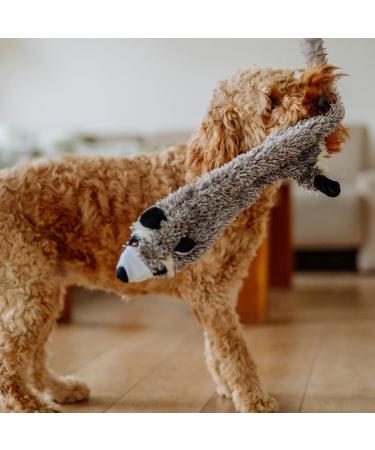 Shop Nobby Plush Raccoon for Dogs - 91 cm Flat Toy | International Shipping Available - Buy Online on GoSupps.com