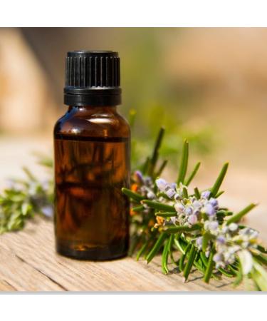 Braunglas 30ml Empty Glass Bottles Set - 15pcs Drop Insert with Black Plastic Lids - Ideal for Essential Oils Perfume and Fragrance - Buy Online on GoSupps.com