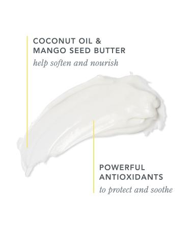 Beekman 1802 Whipped Body Cream - Pure Goat Milk Formula for Clear and Soft Skin - Sensitive Skin Friendly - Cruelty Free Honey & Orange Blossom - 8 oz - Buy Online on GoSupps.com