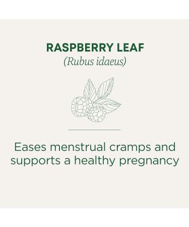 Traditional Medicinals - Organic Raspberry Leaf Herbal Women's Tea (Pack of 6) - Sustainably Sourced Fair Wild Red Raspberry Leaf - 96 Tea Bags Total 49.67 g (Pack of 6) Raspberry Leaf Herbal Tea - Buy Online on GoSupps.com