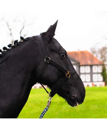 Adjustable Black Halter for Warm Bloods & Thoroughbreds | Safe Tear-Resistant Stable & Pasture Use - Buy Online on GoSupps.com