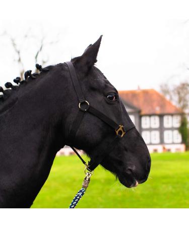 Halter for horse warmblood thoroughbred cold blood - stable halter pasture 2 compartment adjustable to chin straps and neck pieces safe & tearproof (black thoroughbred (COB)) black thoroughbred (cob)