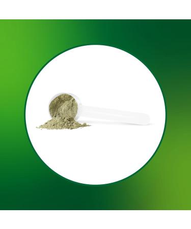 Progressive Vegegreens Blueberry Medley Flavour 530 g Anti-Inflammatory plus Liver & Digestion Support Blueberry Medley 530 g - Buy Online on GoSupps.com