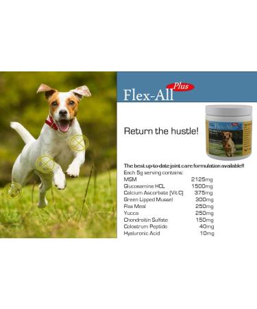 Flex All Plus Joint Supplement (120g) - Buy Online on GoSupps.com