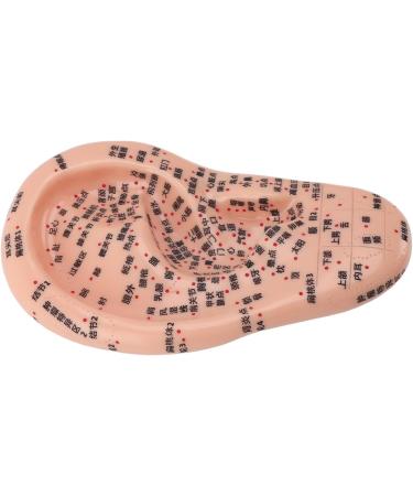 Human Ear Acupuncture Points Model - Transparent PVC Learning Tool for Home Use | Universal Acupuncture Anatomy - Buy Online on GoSupps.com