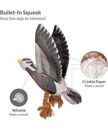 Shop Aquatic Human Squeaky Dog Toys - Crocodile Parrot Lizard & Wild Goose for All Dog Sizes - Buy Online on GoSupps.com