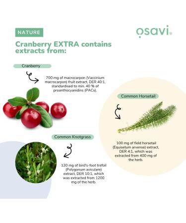 Olivit Sp z oo Osavi Cranberry Extra 120 Vegan caps - Buy Online on GoSupps.com